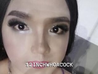 12INCHWHOACOCK Webcamsex Amateur