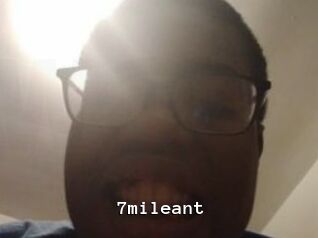 7mileant