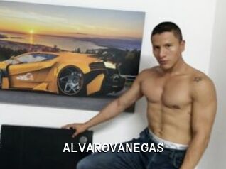 ALVAROVANEGAS Webcamsex Amateur