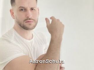 AaronSchulz