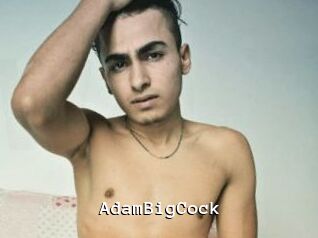 AdamBigCock Webcamsex Amateur