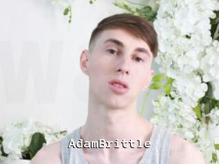 AdamBrittle