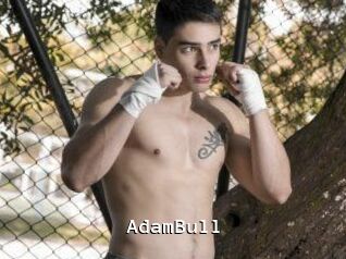 AdamBull