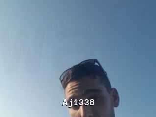 Aj1338