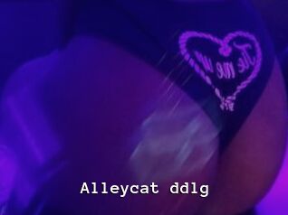 Alleycat_ddlg