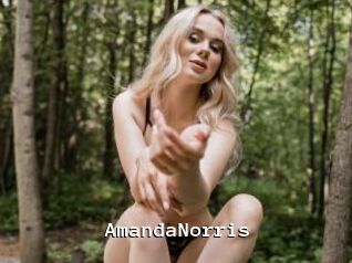 AmandaNorris Webcamsex Amateur