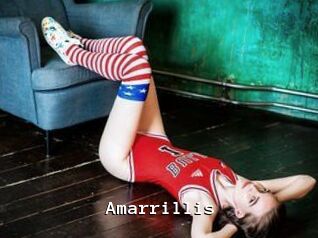 Amarrillis