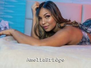 AmeliaBridge