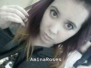 AminaRoses Webcamsex Amateur