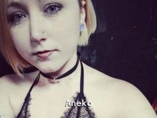 Aneko