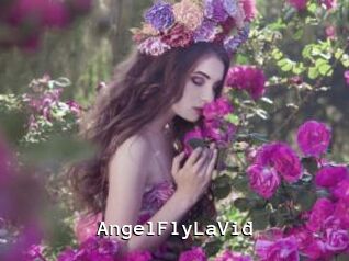 AngelFlyLaVid