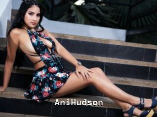 AniHudson