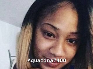 Aquafina7488