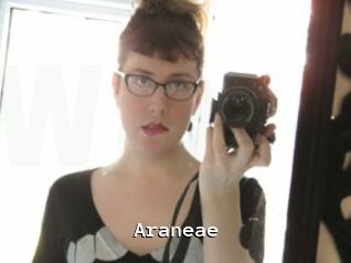 Araneae