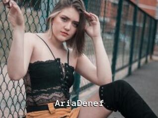 AriaDenef