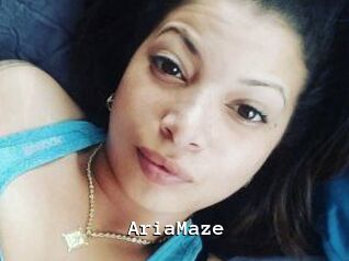 Aria_Maze