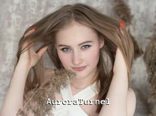 AuroraTurnel