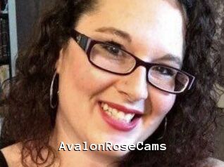 AvalonRoseCams
