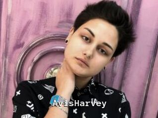 AvisHarvey