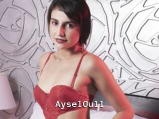 AyselGull
