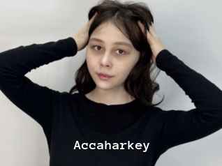 Accaharkey