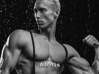 Adonis_
