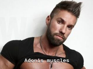 Adonis_muscles