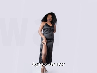 Agnesawuor