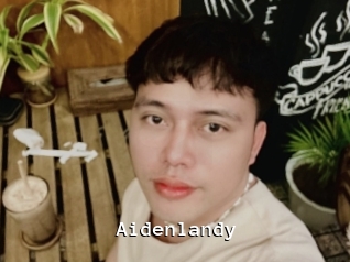 Aidenlandy