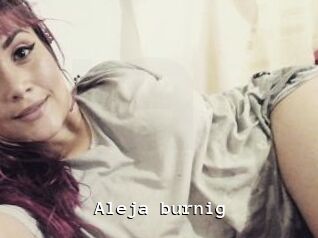 Aleja_burnig