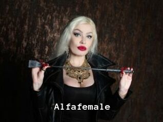 Alfafemale