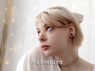 Alicebird