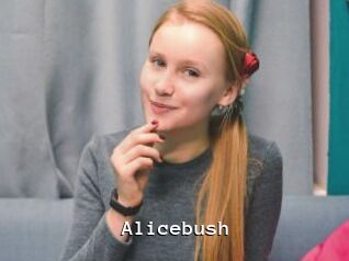 Alicebush