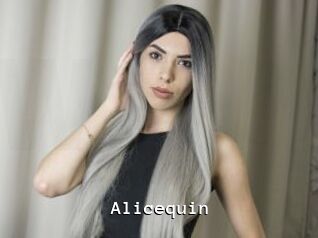 Alicequin