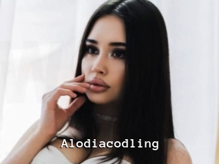 Alodiacodling