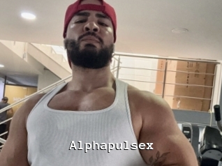 alphapulsex Webcamsex Amateur
