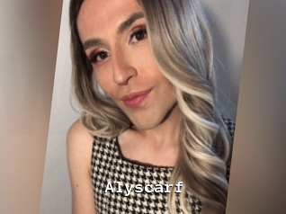 Alyscarf