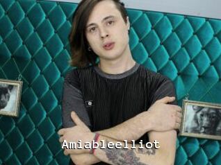 Amiableelliot