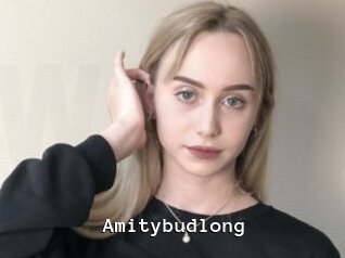 Amitybudlong