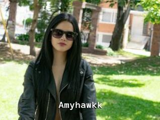 Amyhawkk