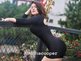 Andinacooper