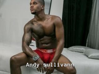 Andy_sullivann