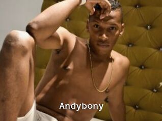 Andybony