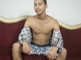 Andyhunk