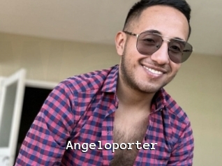 Angeloporter