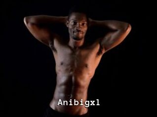 Anibigxl