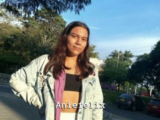 Aniefelix