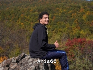 Anis66