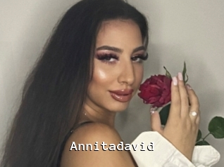 Annitadavid