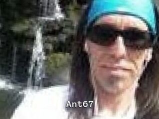 Ant67